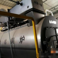 出售2018年4噸燃?xì)庹羝仩t,30低碳,利雅鹿410燃燒機(jī)