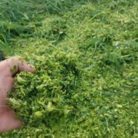 求購大型青儲機 秸稈粉碎打捆機