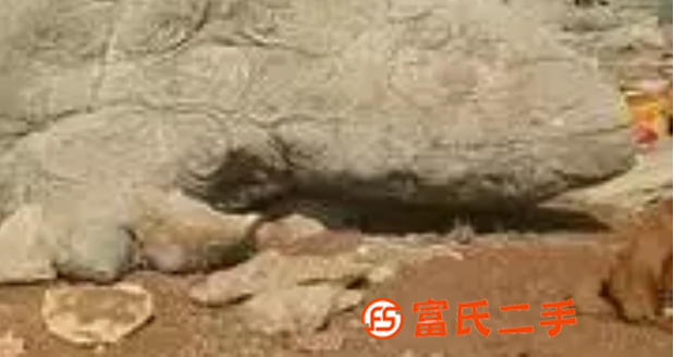 天然奇石.像化石