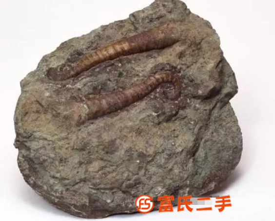 奇石出手收購買家聯系交易