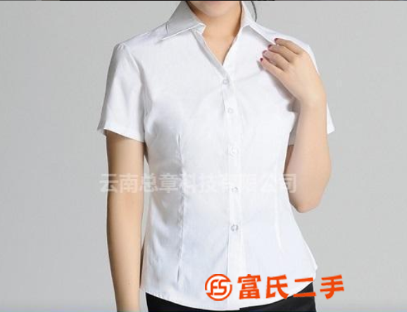 臨滄女士短袖襯衫-總章服飾私人定制(查看)