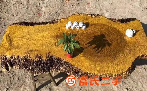黃金樟整塊滿榴疤根雕原木實用型木質實木小號茶盤茶托