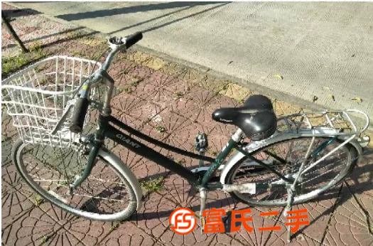 捷安特代步車 兒童鳳凰變速車