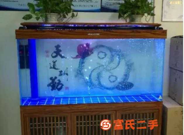 風水魚缸金魚缸水族箱不是中醫院旁花鳥市場三市古玩城