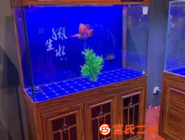 寧波維修魚缸水族箱護理上門維護洗魚缸換水