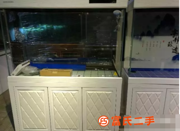 批發金魚烏龜水草魚缸水族箱寧波古玩城福水族