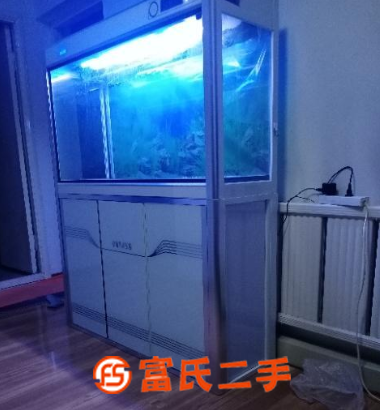 魚缸水族箱
