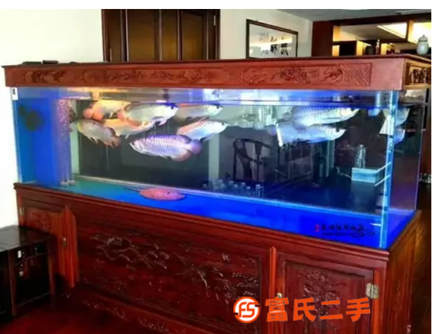 定制定做魚缸水族箱 魚缸造景海水水草缸雨淋缸