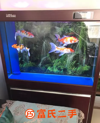 魚缸水族箱出售