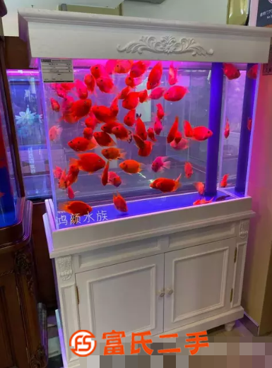 清洗魚缸水族箱設計造景護理保養維修訂做