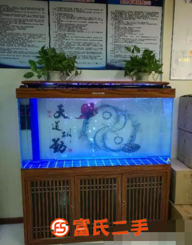 風水魚缸金魚缸水族箱不是中醫院旁花鳥市場三市古玩城