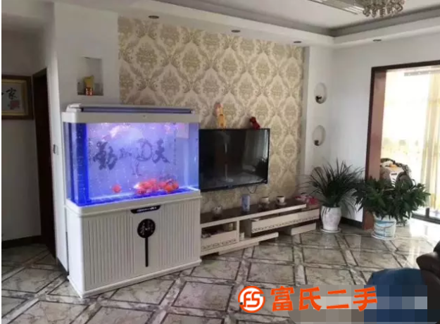 寧波魚缸水族箱清洗正規銷售