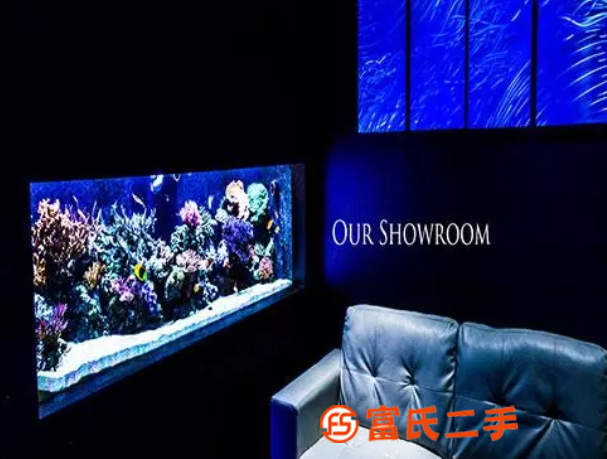 服務風雨無阻的深圳寶安魚缸水族箱定制廠家