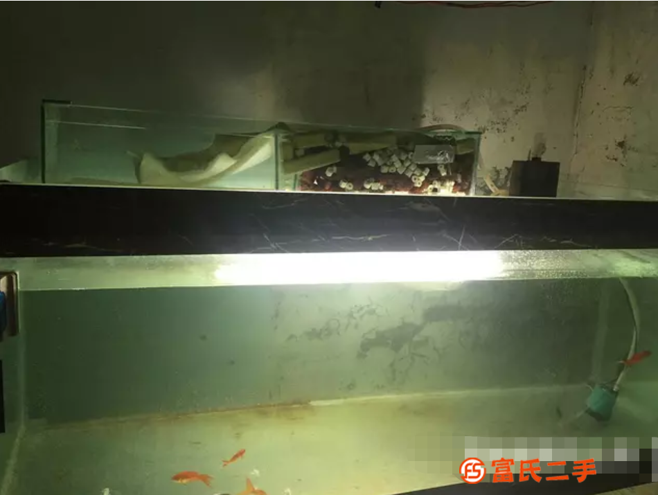魚缸水族箱處理