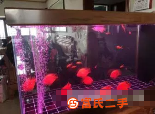 北京全市上門清洗魚缸水族箱 魚缸搬運搬家 淡海水魚