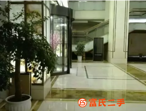 寧波綠植花木租售，養護服務
