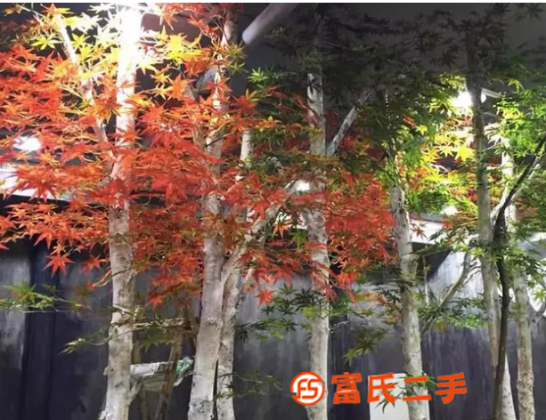 仿真綠植苔蘚背景墻植物花墻花樹大型樹設計仿真花裝飾