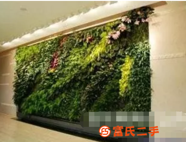 北京仿真綠植墻定做大型綠植墻定做