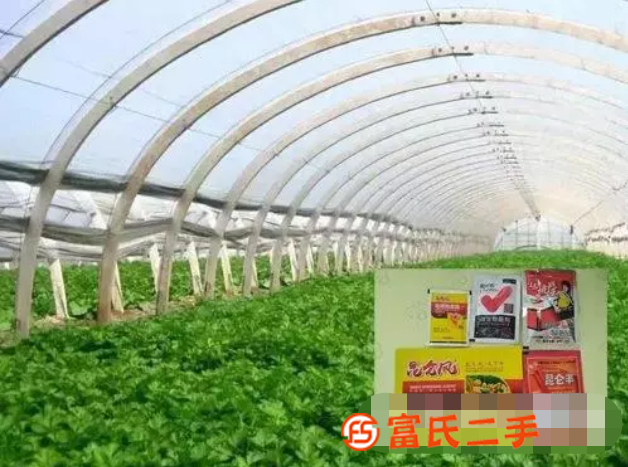 有機蔬菜大棚用什么肥料