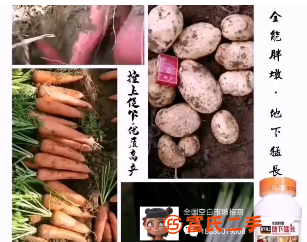 地下猛長塊根莖專用控旺膨大增產水溶肥料為峰肥業廠家直銷