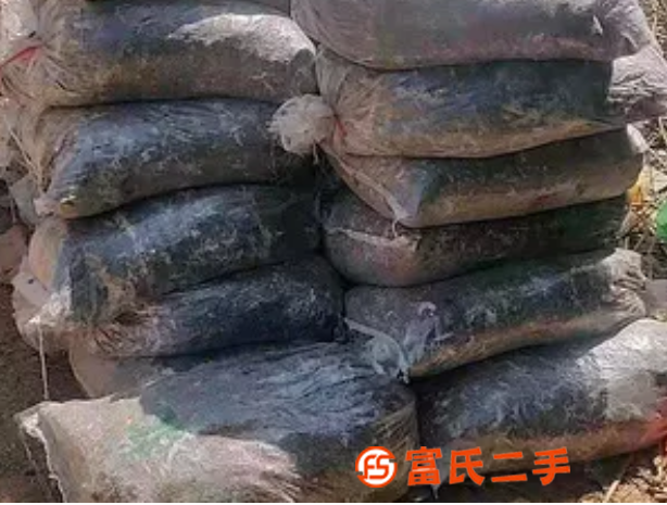 鴿子糞好肥料