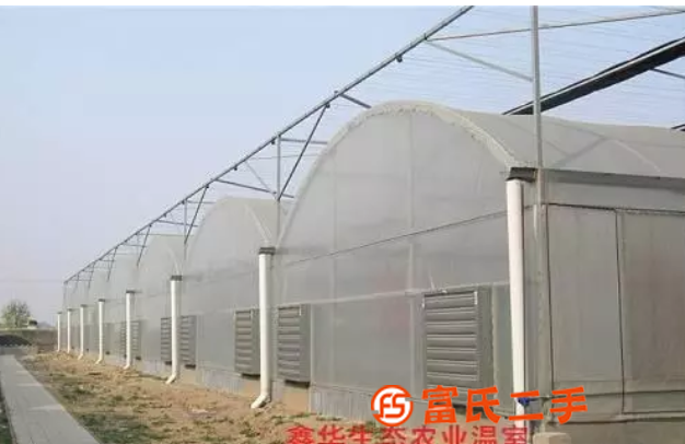 農(nóng)用蔬菜連棟溫室 薄膜大棚 設計安裝一站式服務