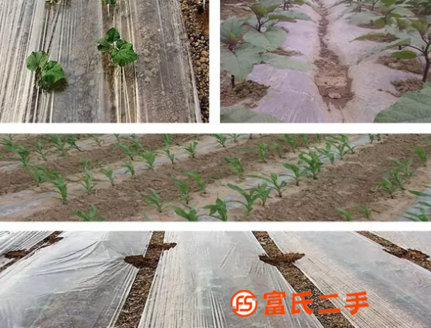 農(nóng)用白色地膜新料塑料薄膜PE除草農(nóng)用白色地膜可訂做