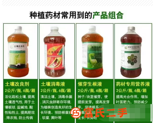 金線蓮種植用什么藥水好 金線蓮專用營養(yǎng)液