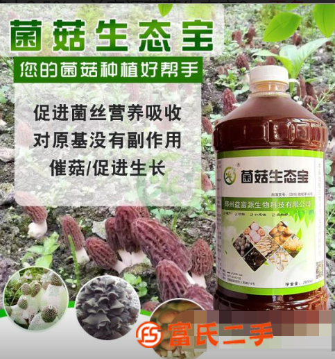 用益富源益生菌營養(yǎng)液種植羊肚菌的技術(shù)方法