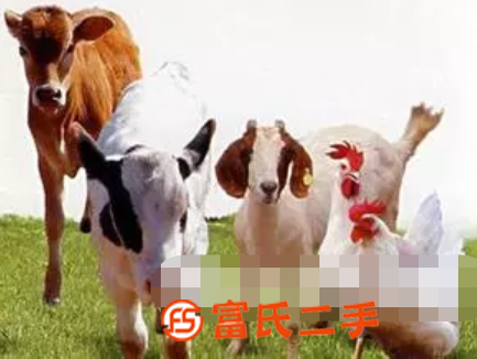 2020中國（貴陽）飼料調配成份及添加劑展覽會