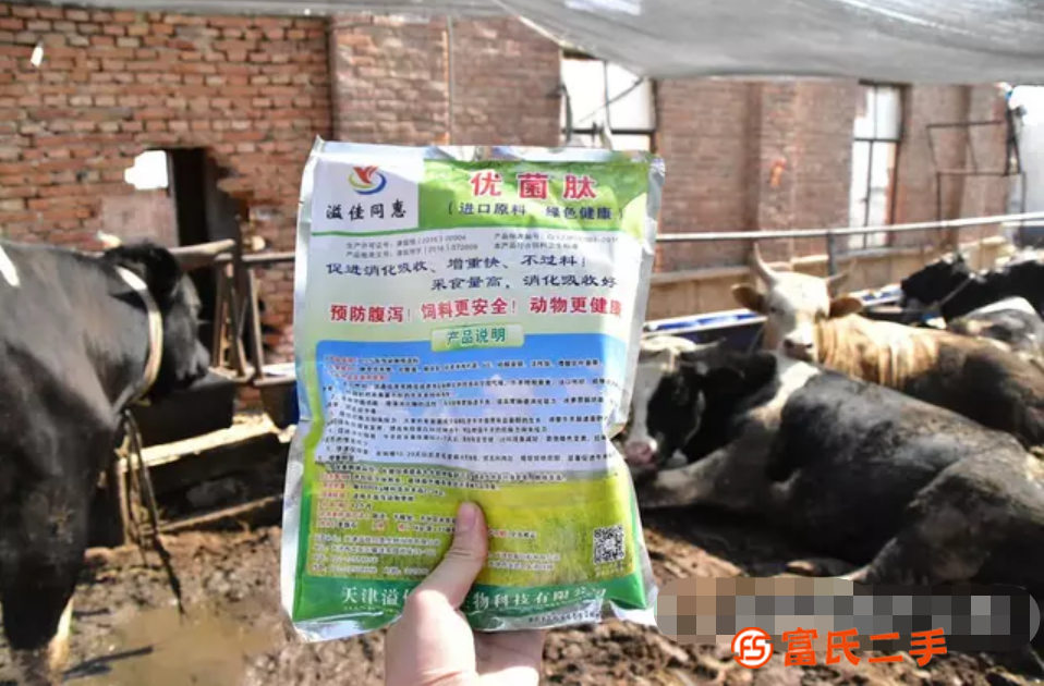 育肥牛飼料必加的添加劑