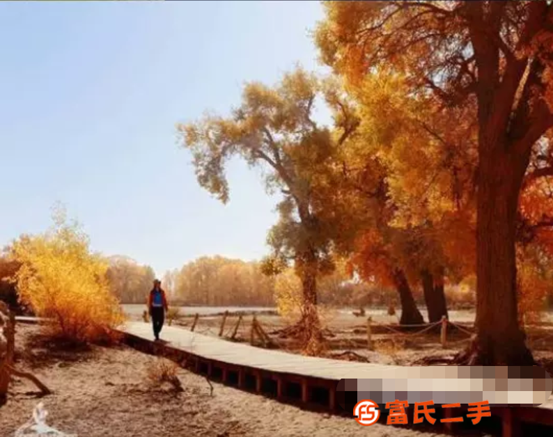 無錫地接會務會展旅游服務