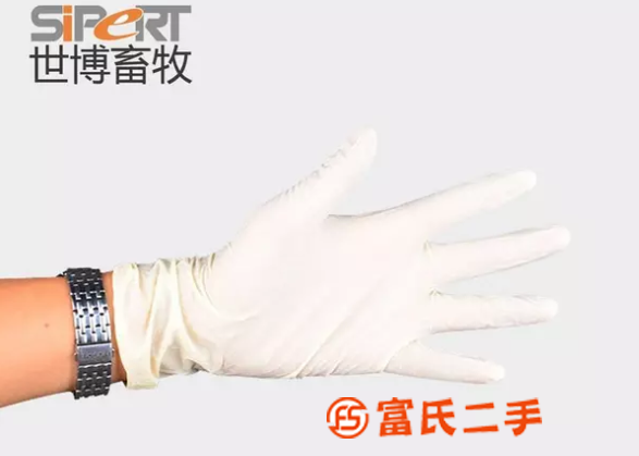 豬用采精手套淄博豬人工授精耗材現貨