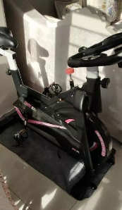 單車便宜出賣  300元