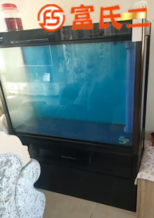 森森魚缸  1000元