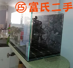 新魚缸出售  200元