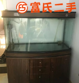 出售自家用可麗愛魚缸  300元