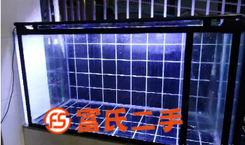 1米靚靚缸  280元