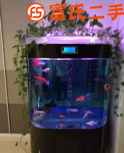 自家魚缸出售，高2米，寬1.2米  2500元