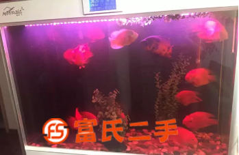 出售魚缸  1980元