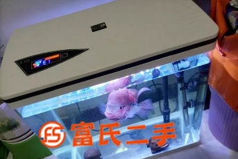出售閑置魚缸  500元
