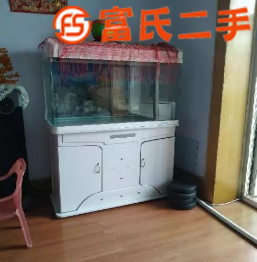 閑置魚缸  600元
