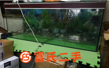 直角魚缸全新  90元