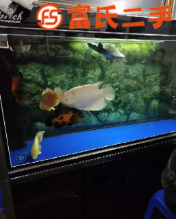 魚缸出售  850元