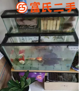 魚缸  350元