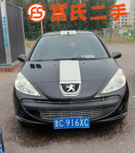 10年 標志207 
