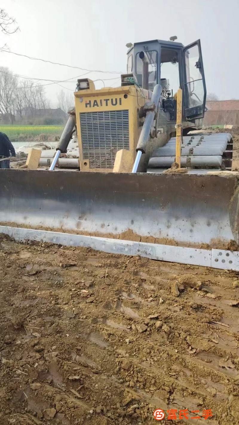 Premium Haitui Tuitui 17/year