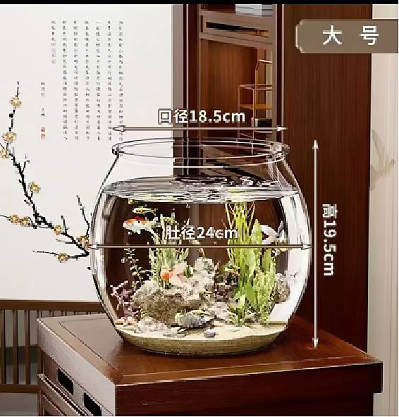 fish tank